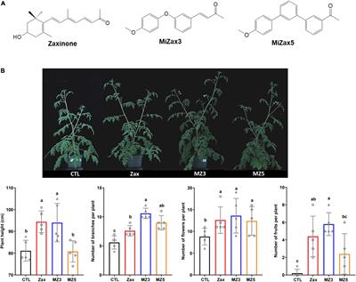 Evaluation of the Biostimulant Activity of Zaxinone Mimics (MiZax) in Crop Plants